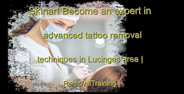 Skinart Become an expert in advanced tattoo removal techniques in Lucinges area | RemovalTraining | RemovalClasses | SkinartTraining-France